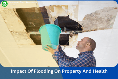 Impact-Of-Flooding-On-Property-And-Health