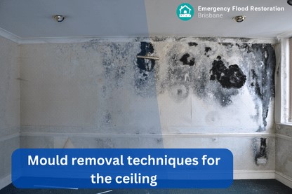 Cleaning mould off ceiling