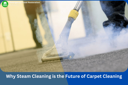 Why-Steam-Cleaning-is-the-Future-of-Carpet-Cleaning